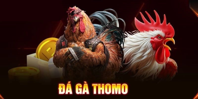 Đá gà Thomo: Sân chơi cá cược hấp dẫn hàng đầu tại Clubv