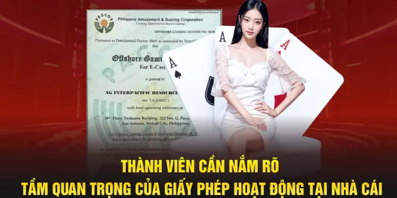 Giấy phép giúp gì cho người chơi?