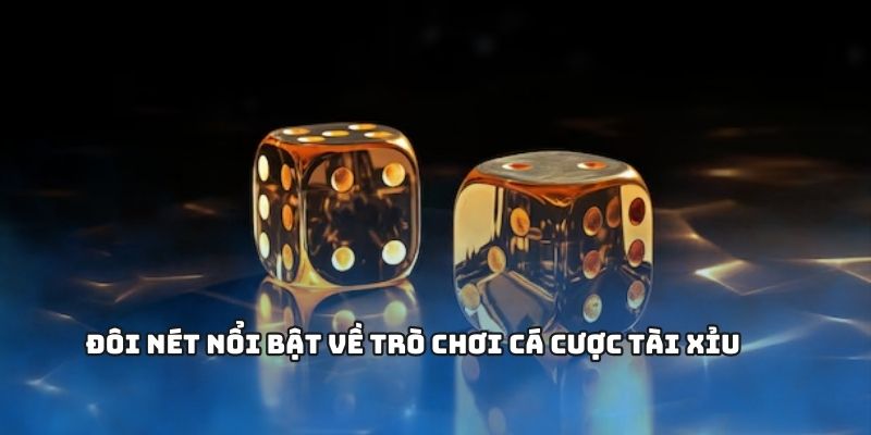 Tài xỉu không chỉ giới hạn trong thể thao truyền thống